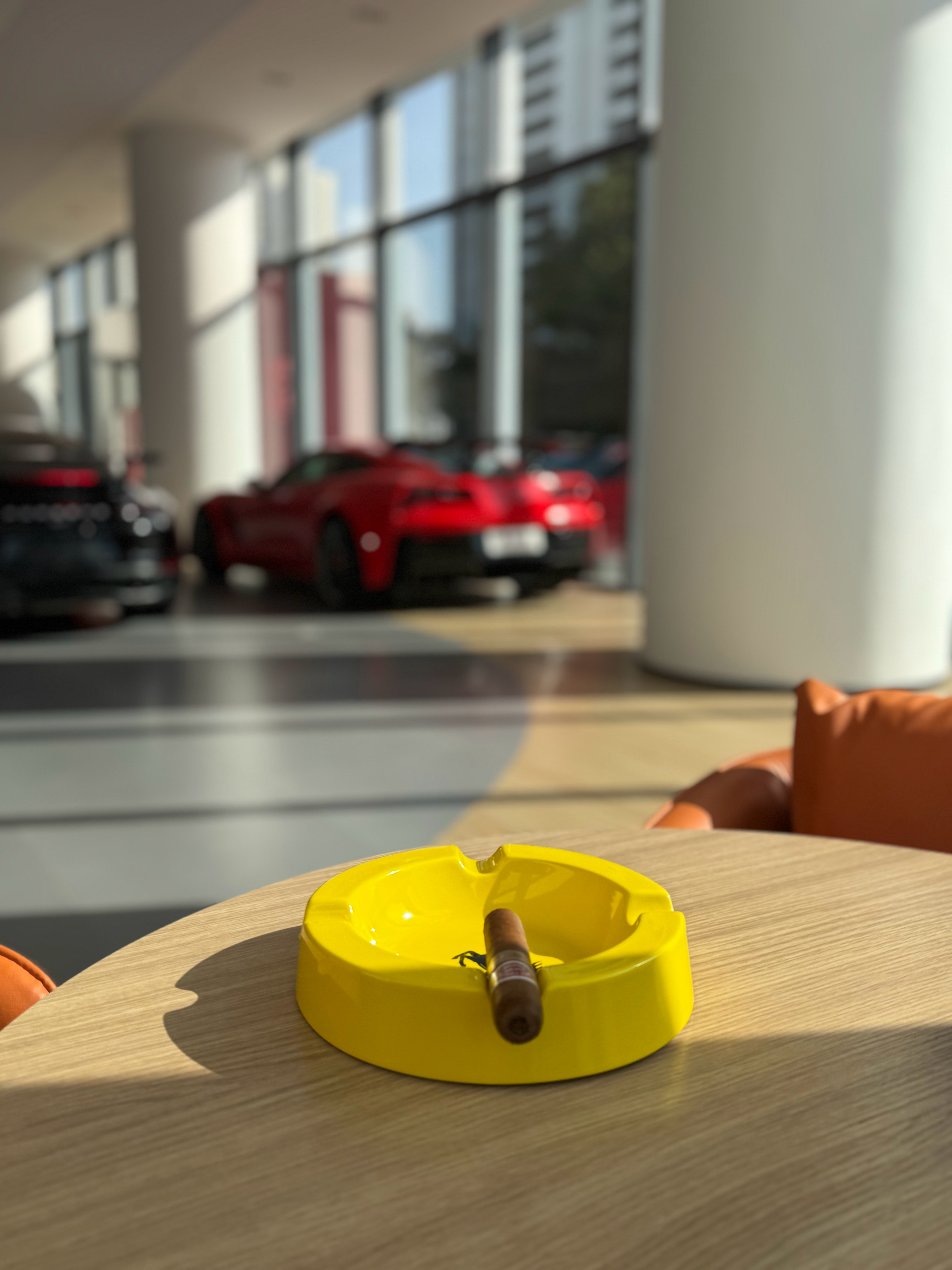 舒服的下午 🌞 