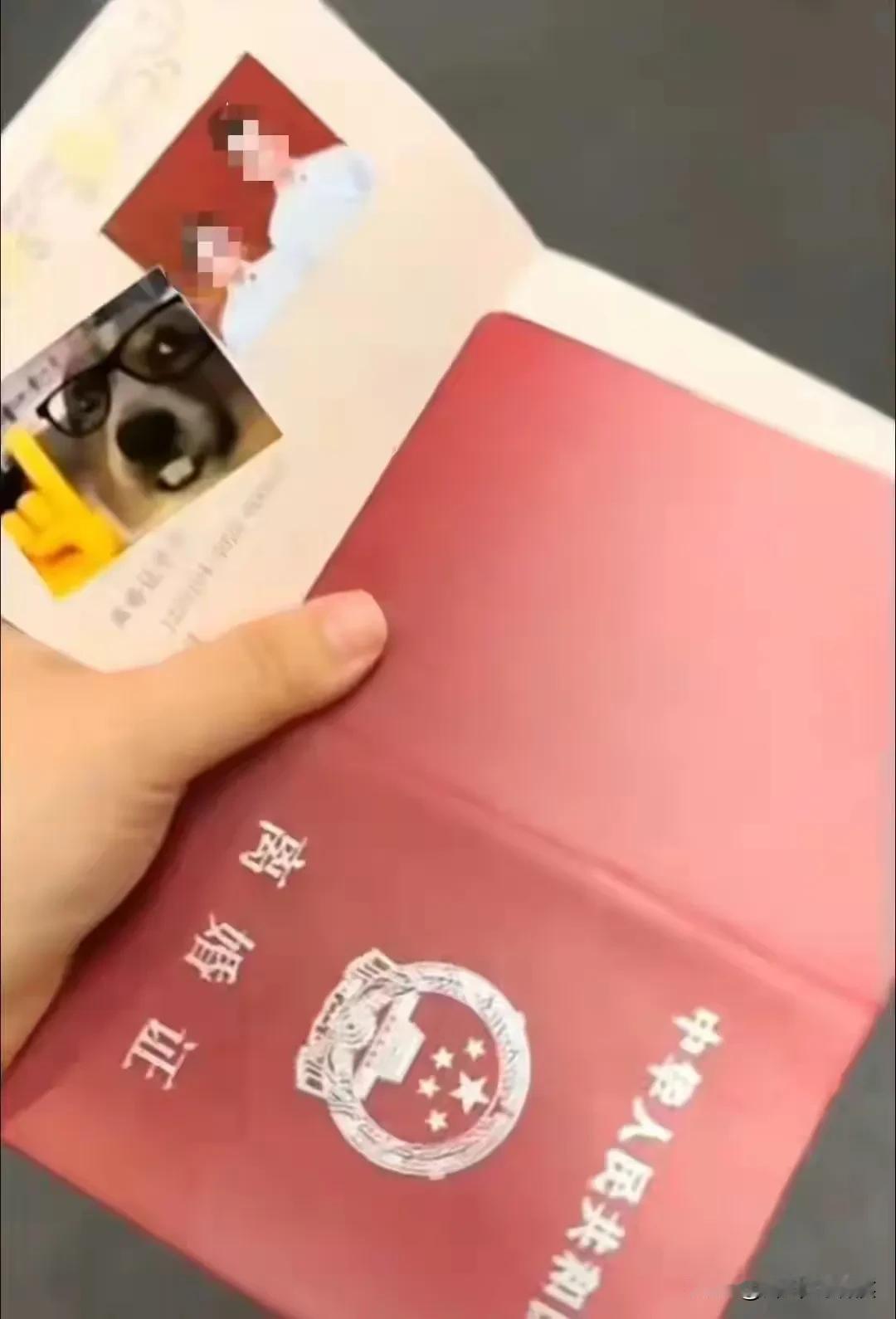 有些荒唐！去登记结婚，却拿到了离婚证的本本，原本是一件喜事，如今却意外变成二婚，