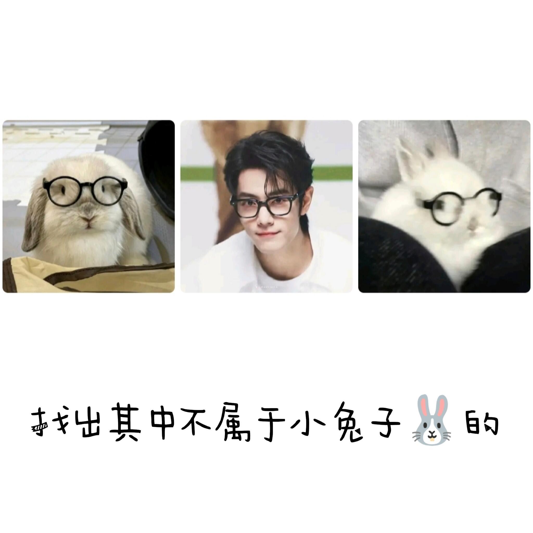 这明明都一样，好难选 