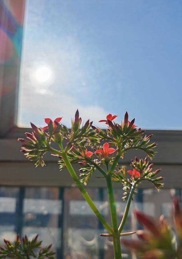 潮水褪去才知道谁在裸泳！委国总统被老美掳走第三天了，印象深刻的有我国，俄罗斯，西