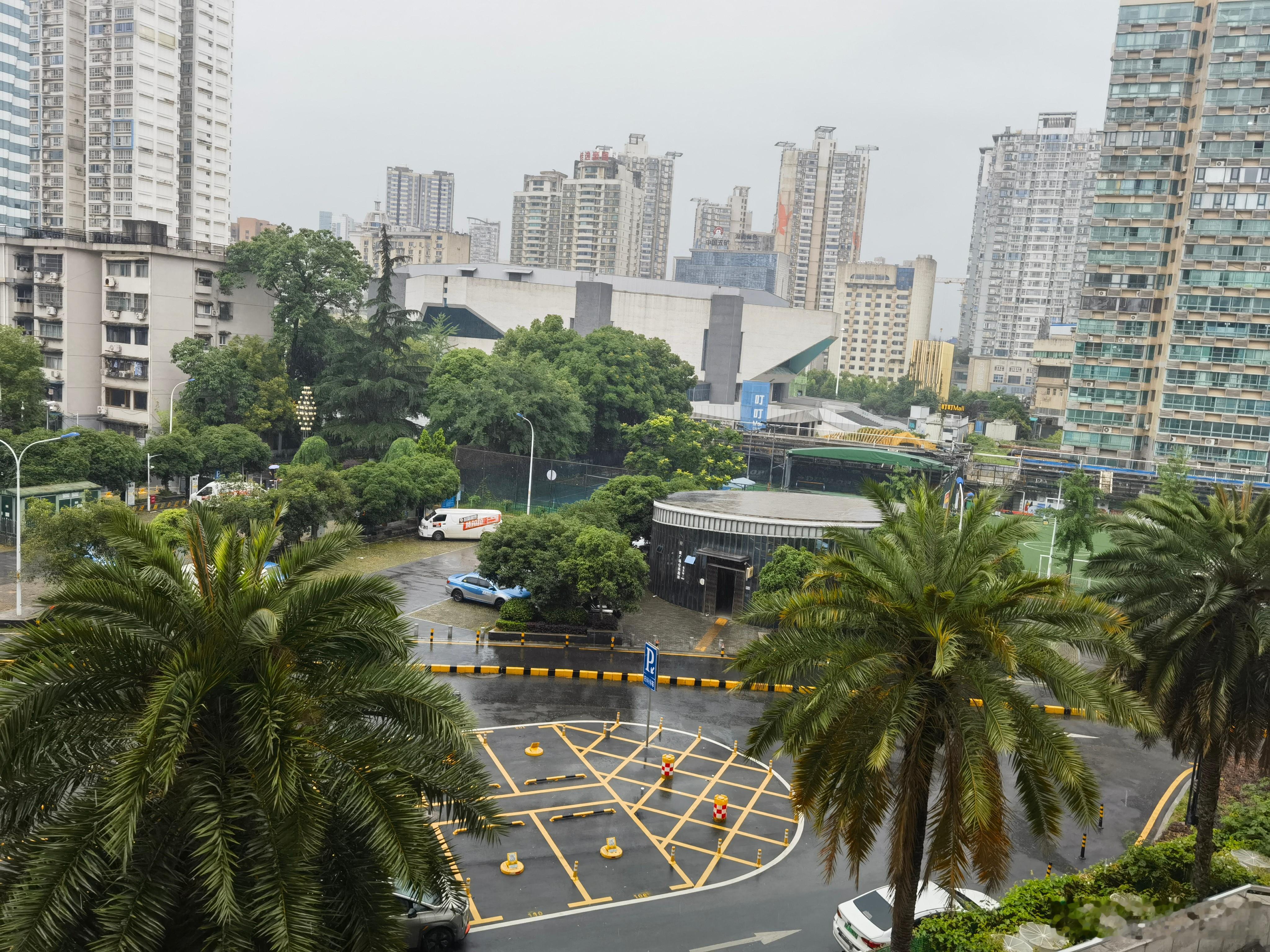 前日雨，昨日亦雨，今日放晴。两日来会基层、会故旧、会朋友，今日得闲，读两卷书，观