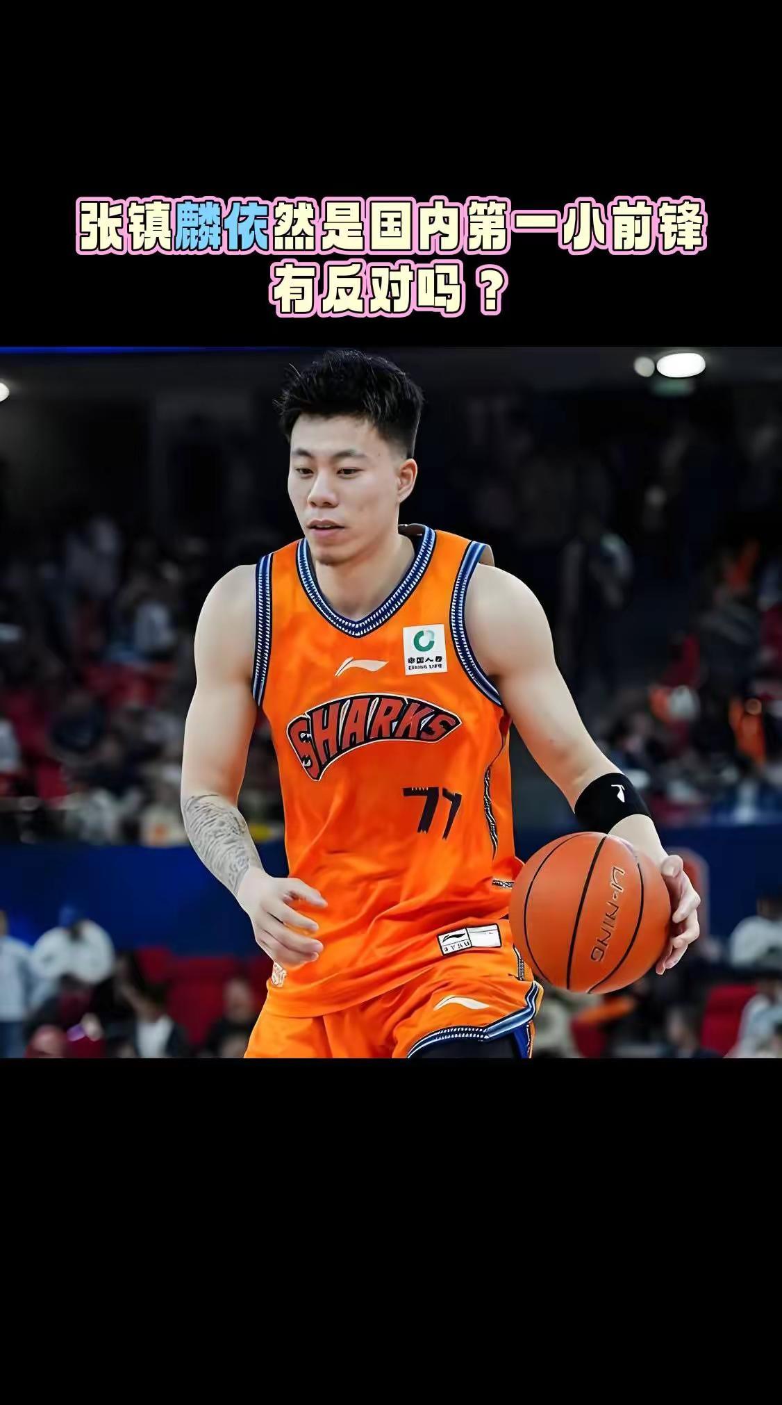 张镇麟依然是国内第一小前锋，有反对的吗？