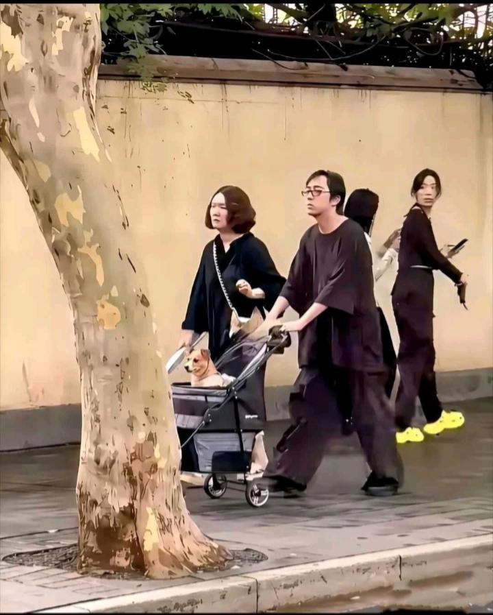 宁可养只狗，也不要一个娃！现在的年轻人咋的了？