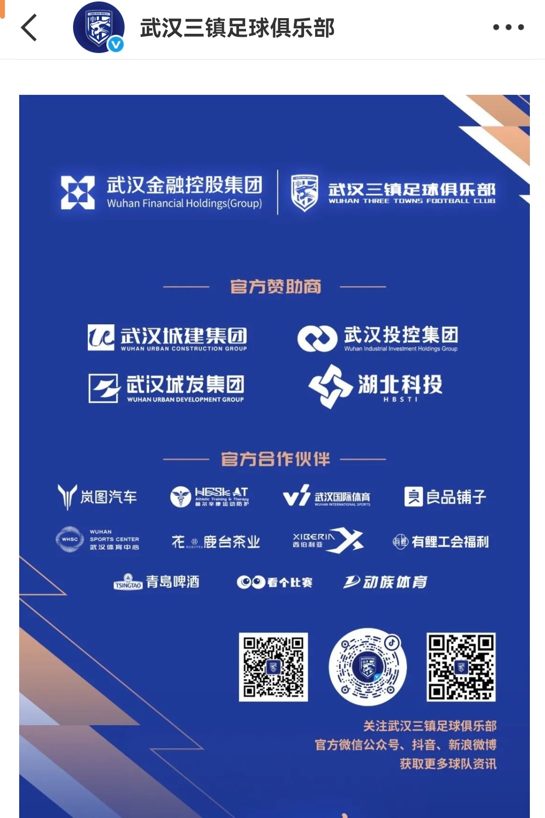 完成股改之后的武汉三镇队，看图说话。中超联赛