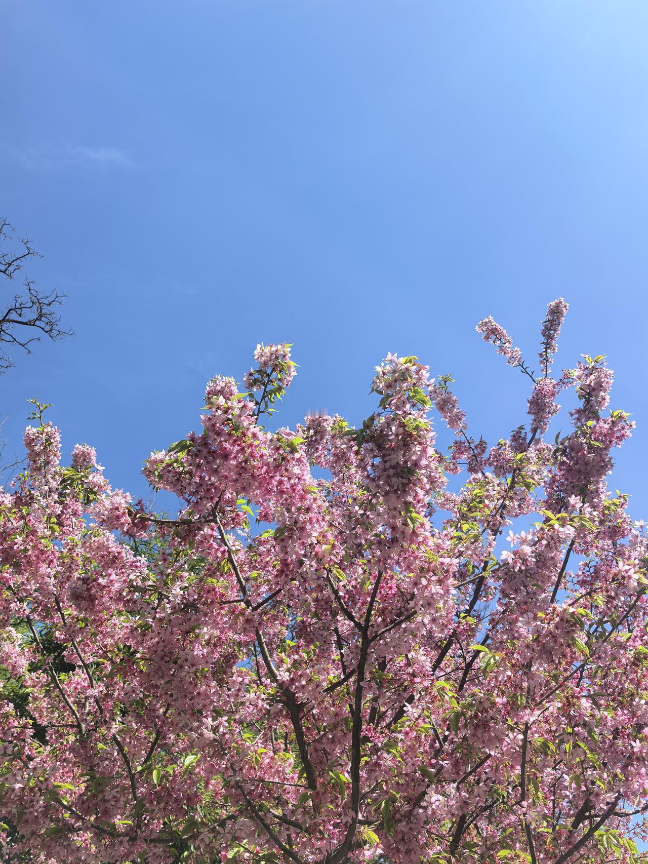 就差几步远，公交车还是开走了。
今天上午我冒雨去去医院开药，在返回之时，我准备去