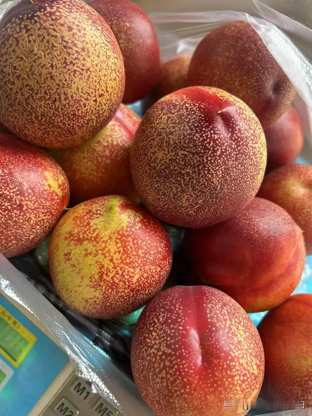 晒图笔记大赛麻点油桃好吃的不得了哟！