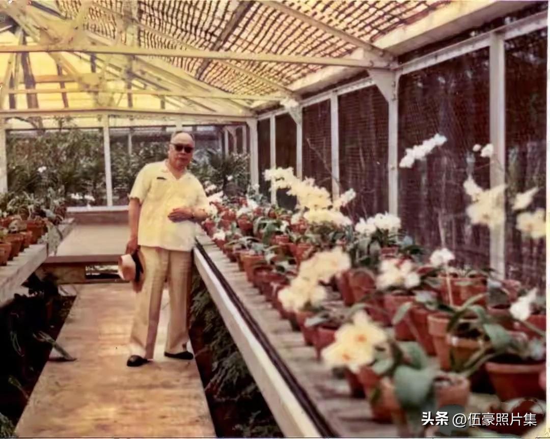 1965年4月16日至26日，陈毅陪同周恩来总理赴雅加达参加万隆会议十周年庆祝活