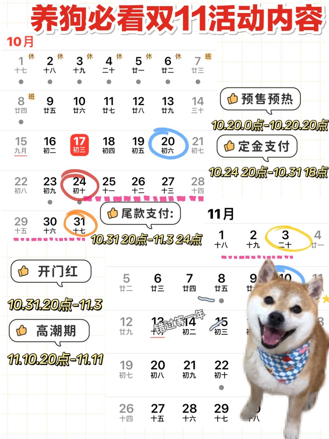 双11养狗人囤什么？实用篇来啦🫣