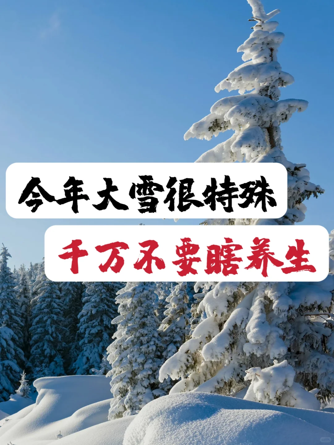 大雪后15天，是身体最佳充电时期