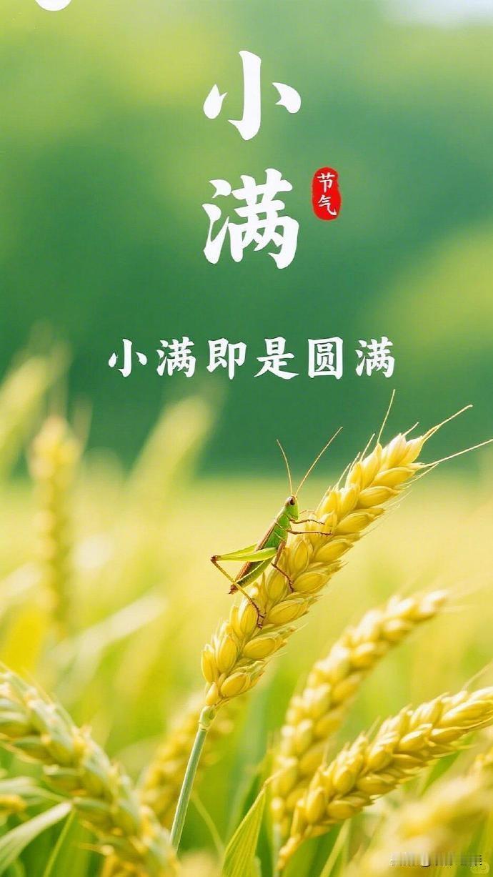 今日小满节气，为什么没有大满呢？
   24节气中，很多节气都是对应的，比如小雪