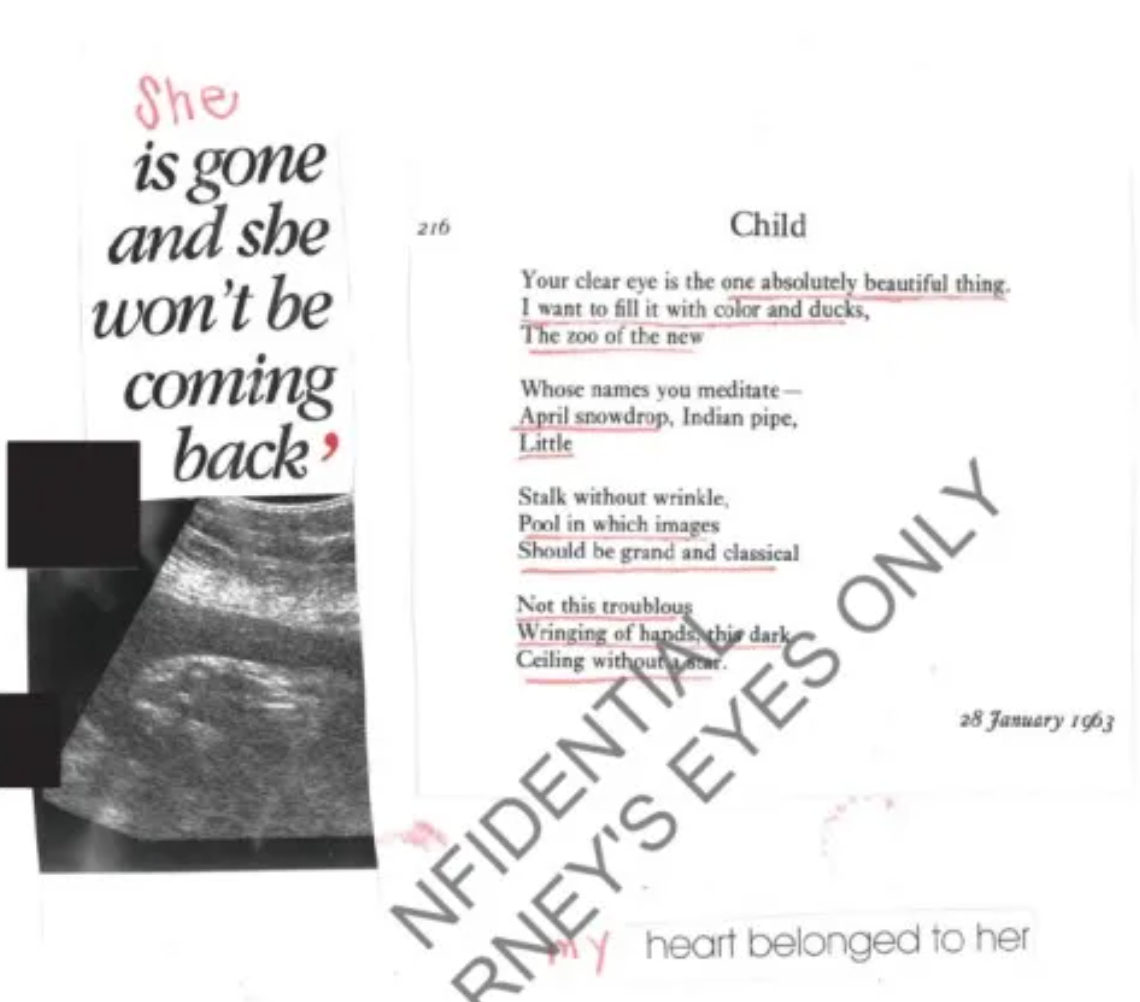 #受害者称曾为爱泼斯坦生下女儿#【未成年女性日记曝光：爱泼斯坦将她作为“孵化器”