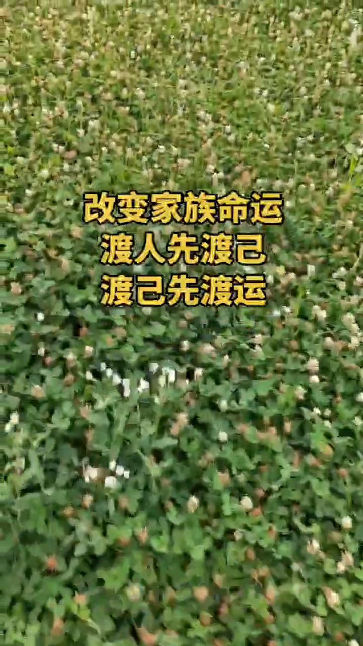 改变家族命运，渡人先渡己，渡己先渡运。
家族几代人都是普通百姓，偏偏到了你这一代