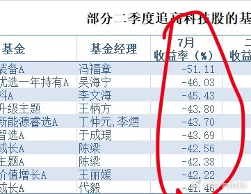 7月份以来的这波调整，大部分含科技基金和组合的最大回撤都20%打底，多的4、50