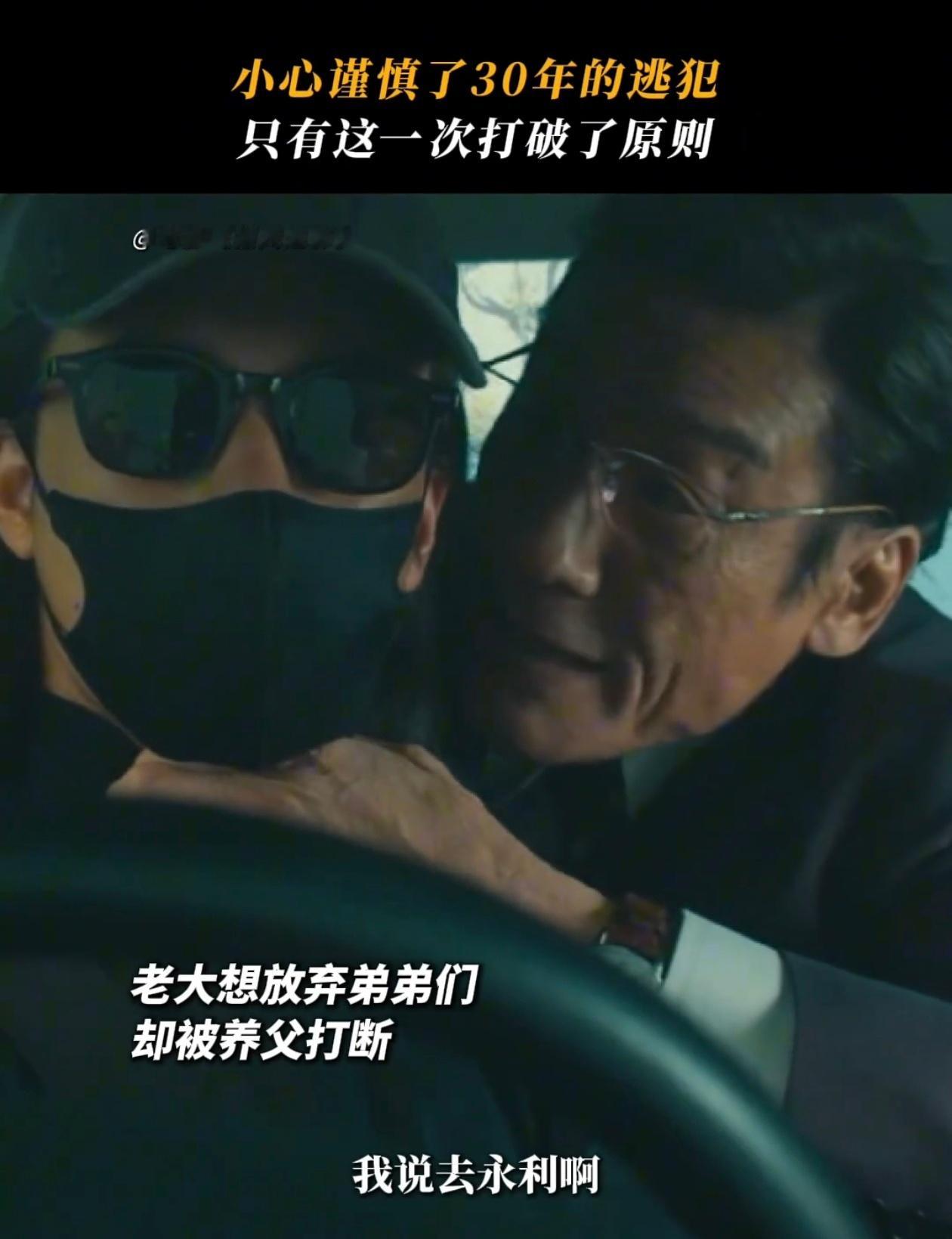 养父养的是儿子还是棋子 捕风追影全程高能！智斗杀疯，动作戏过瘾，全场没人碰手机是