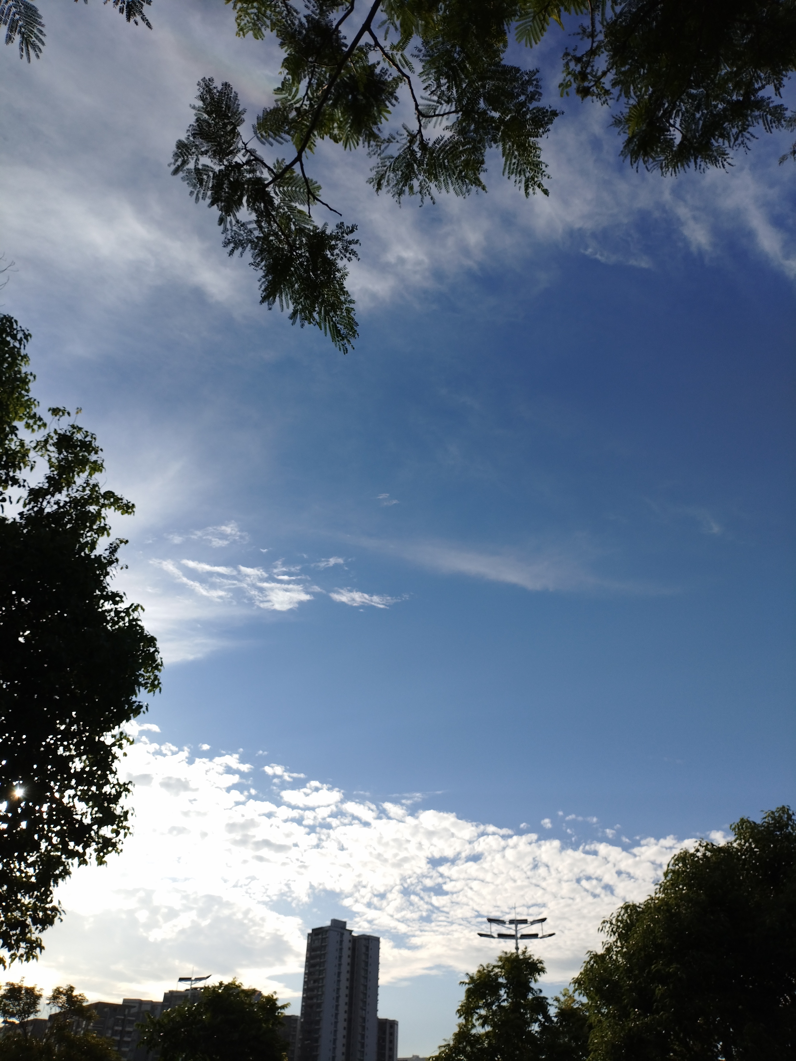 这场风太大了，大到能把12楼的落地窗连人带沙发一起撕碎，也能把物流园的钢结构厂房