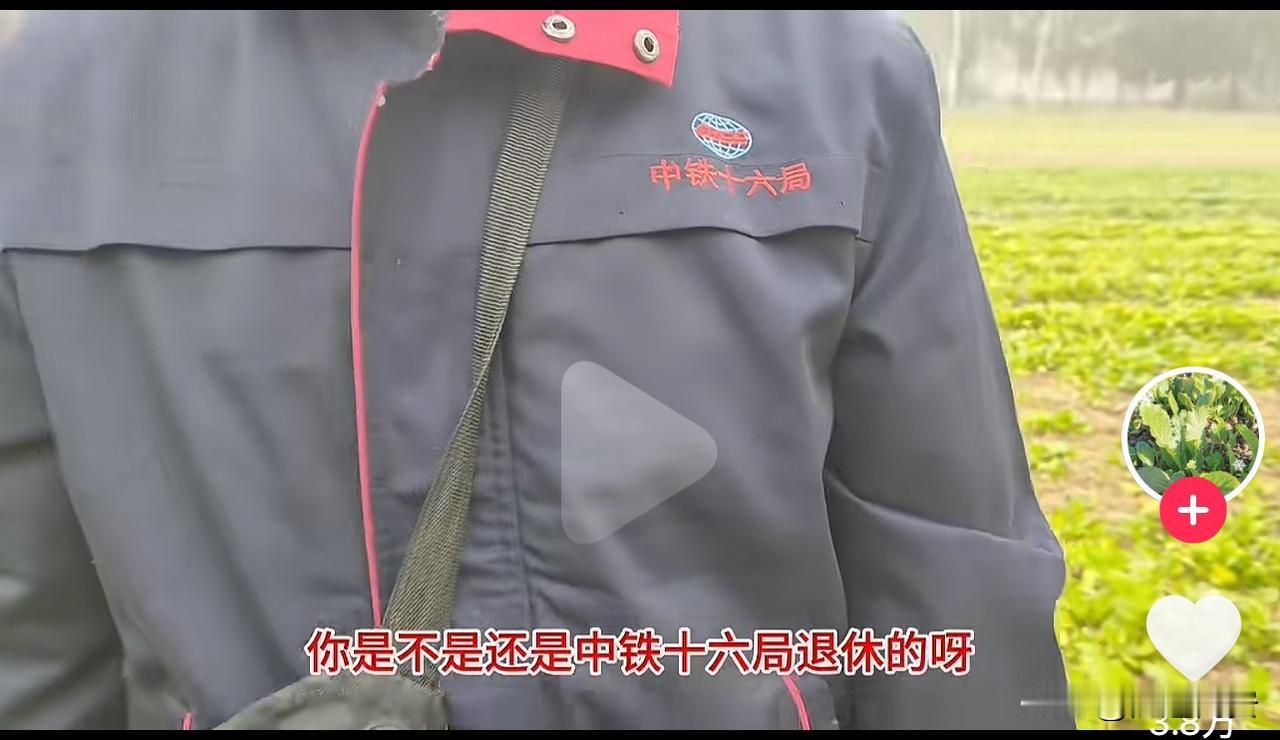 丢人现眼！北京顺义一菜农逮到了，前来偷菜的退休夫妻，被抓现行后不仅不道歉，还吐槽