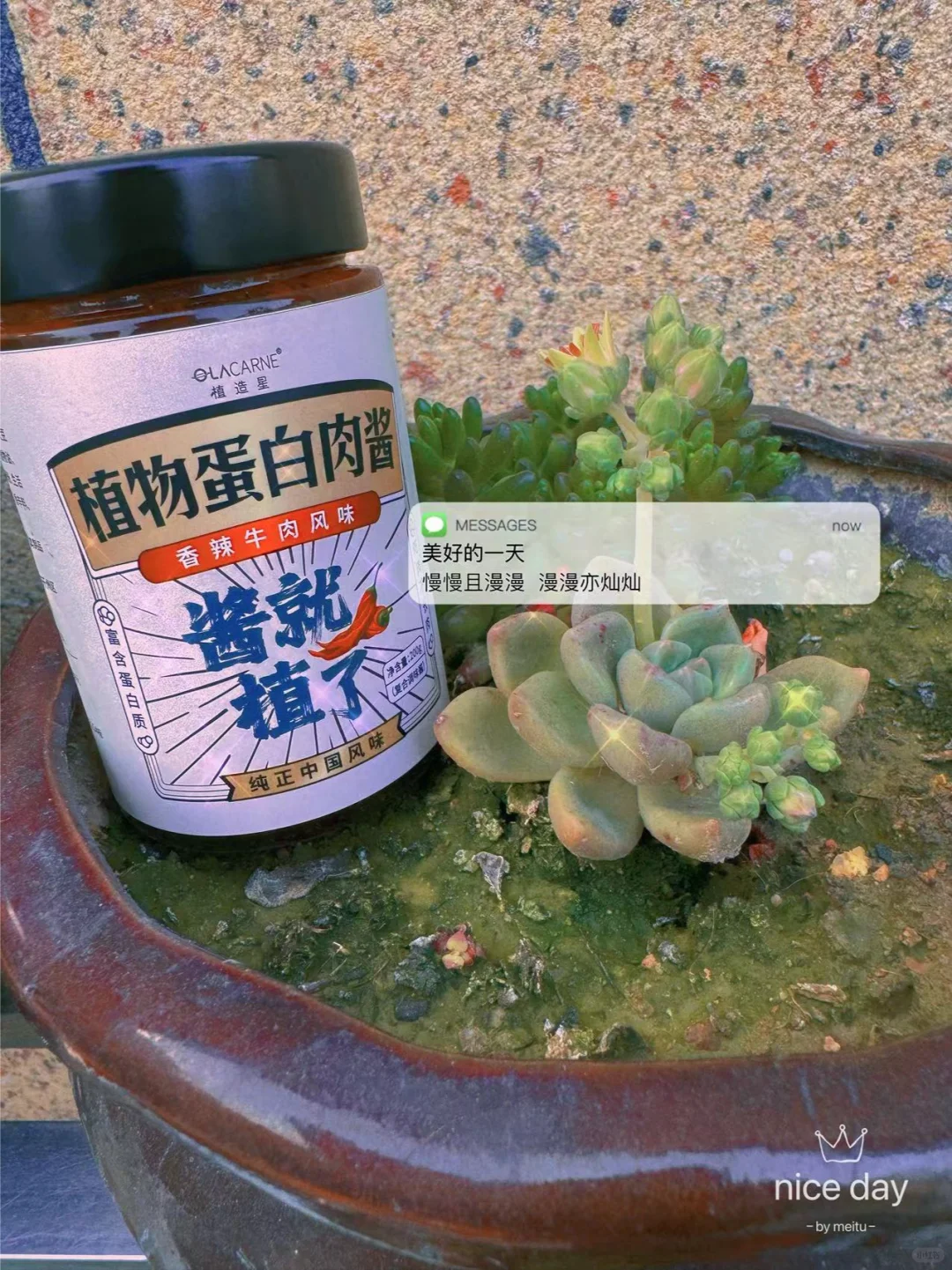 环保健康美食就选它！