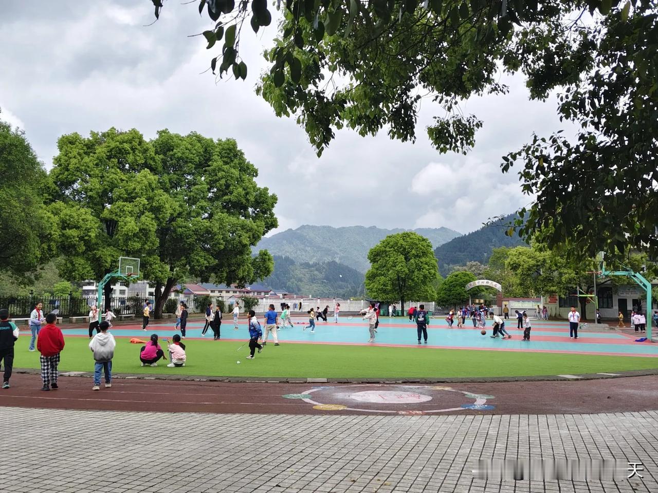 万能生活指南