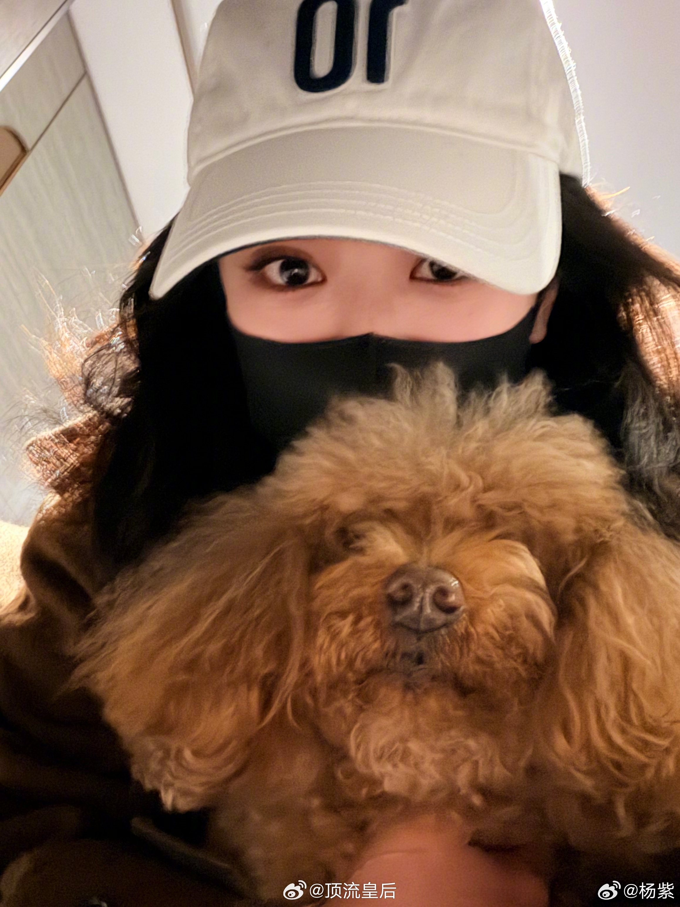 讲真杨紫的营业把戏里董竹君的从容大气、雍容华贵带到现实中来了，这就是好演员的实力