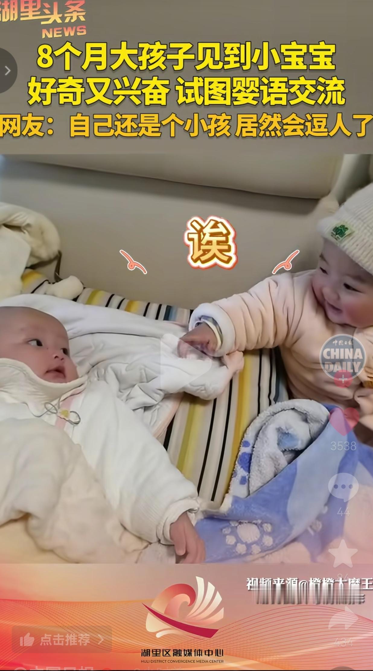 这一幕太美好了！8个月大宝宝见到小宝宝，既好奇又兴奋，试图用婴语交流。网友笑翻：