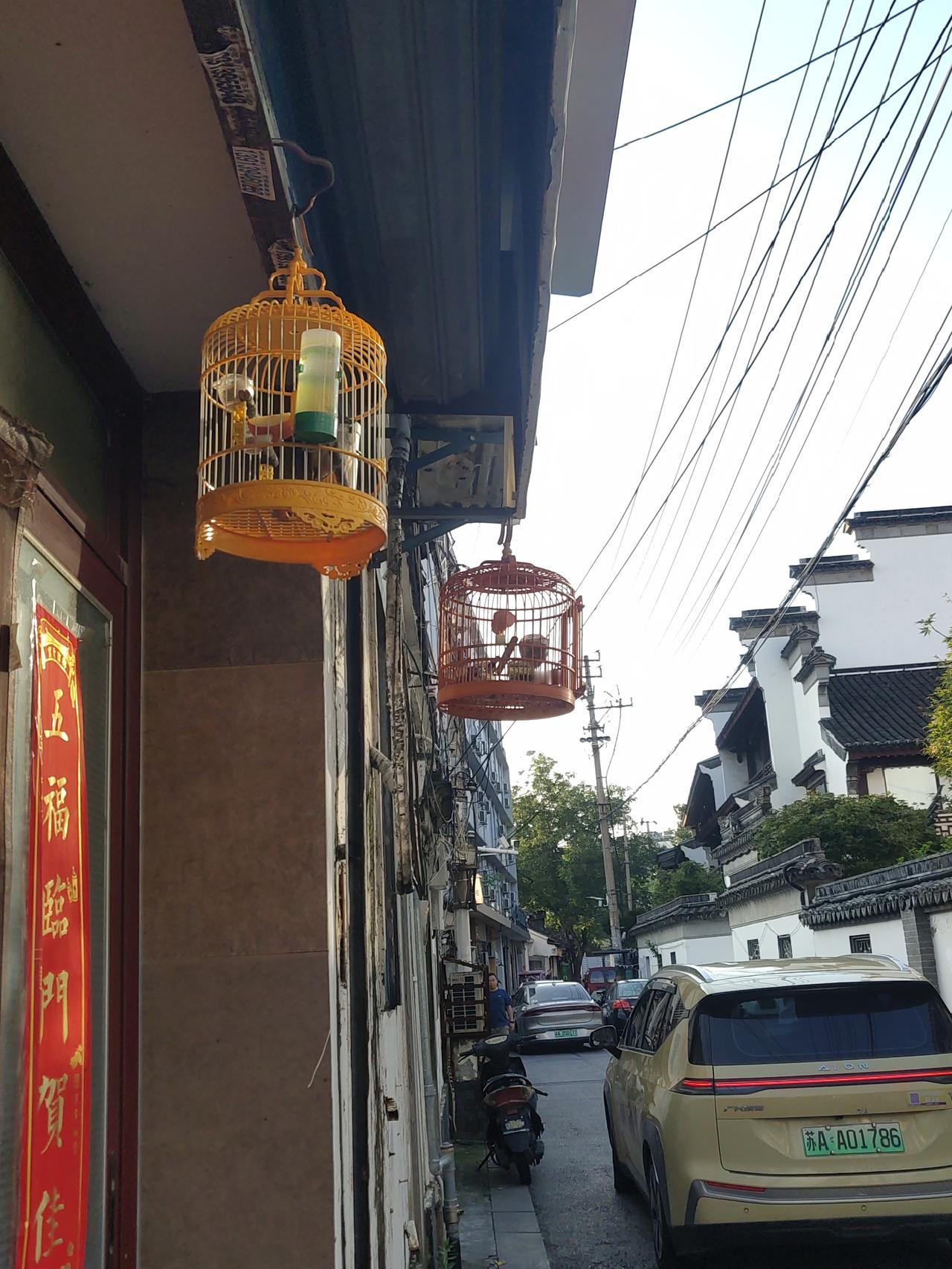 南京的老门东是真不错，小街小巷里藏着许多历史痕迹，浓浓的城市烟火气抚慰人心。
