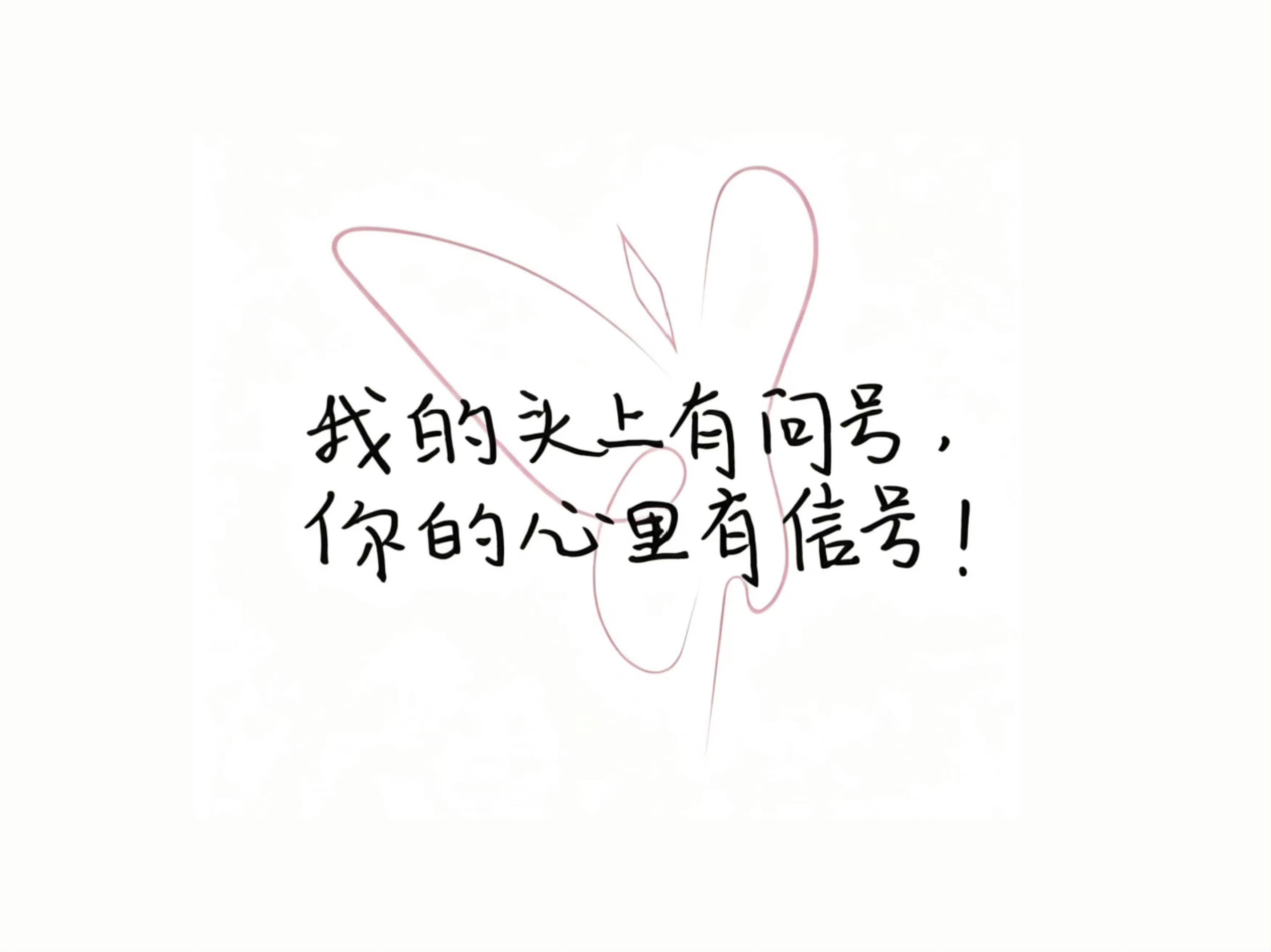 喜欢苏新皓好幸福 