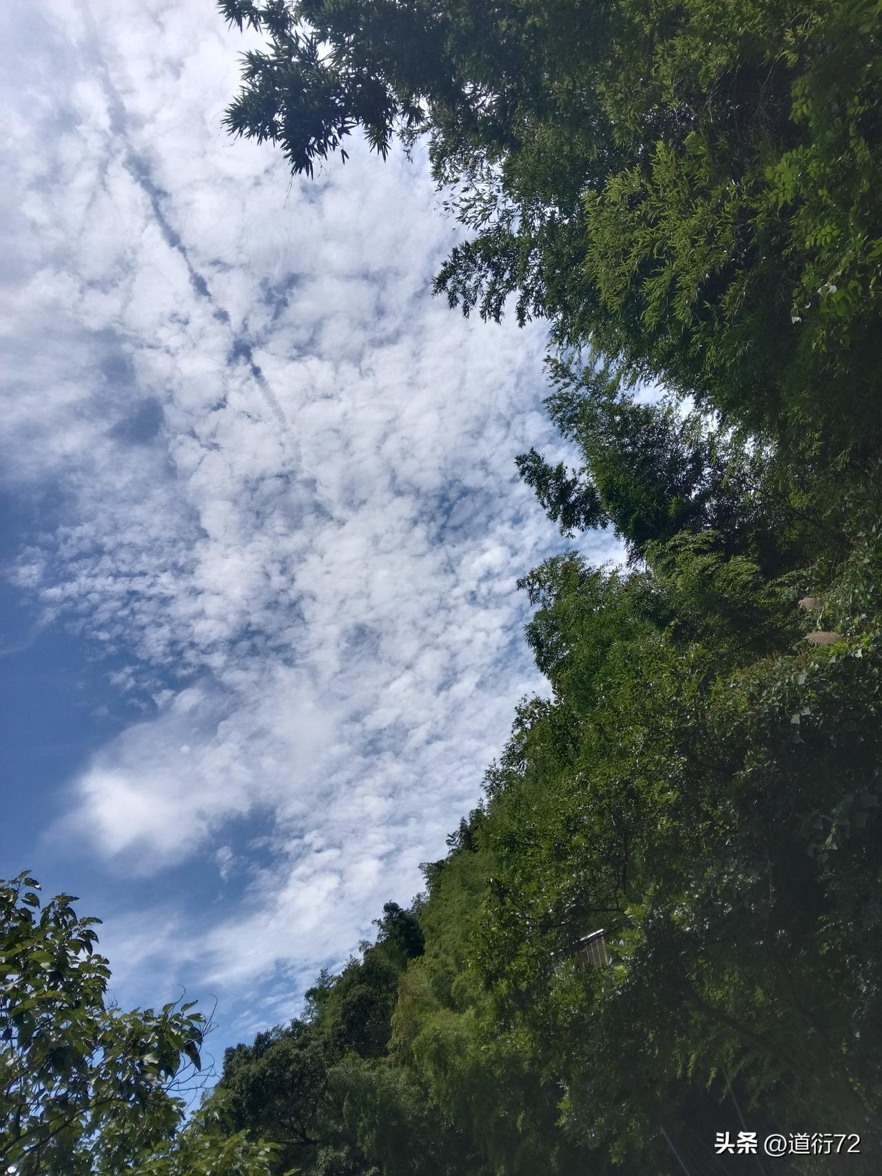 奥尔特加是西班牙语，它还有一个意思就是荨麻，或者指荨麻病。人因为接触荨麻身上会起