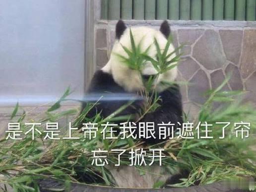 后面座位的大哥把外套一抖，顺手就摊前面座位上了，于是我突然想起一首歌： ​​​