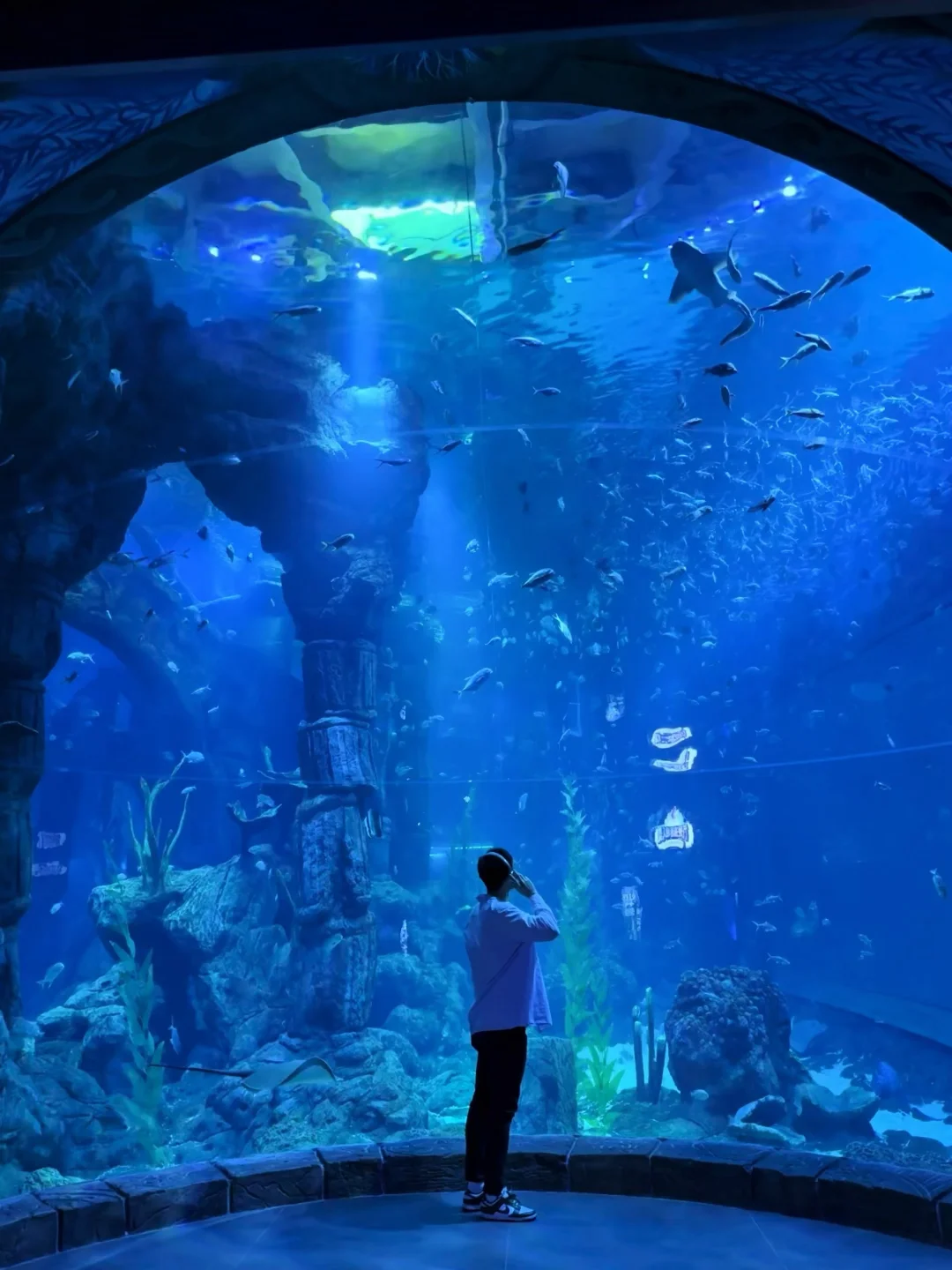 为了这扇窗🐠我特意去了一趟舟山🐬