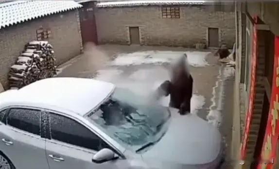 冬天早上起来，发现车玻璃被冻得严严实实，千万别脑子一热用热水浇！

我身边就有朋