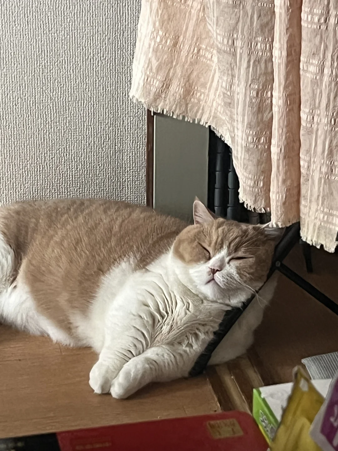 只要有一根棍子就能当枕头