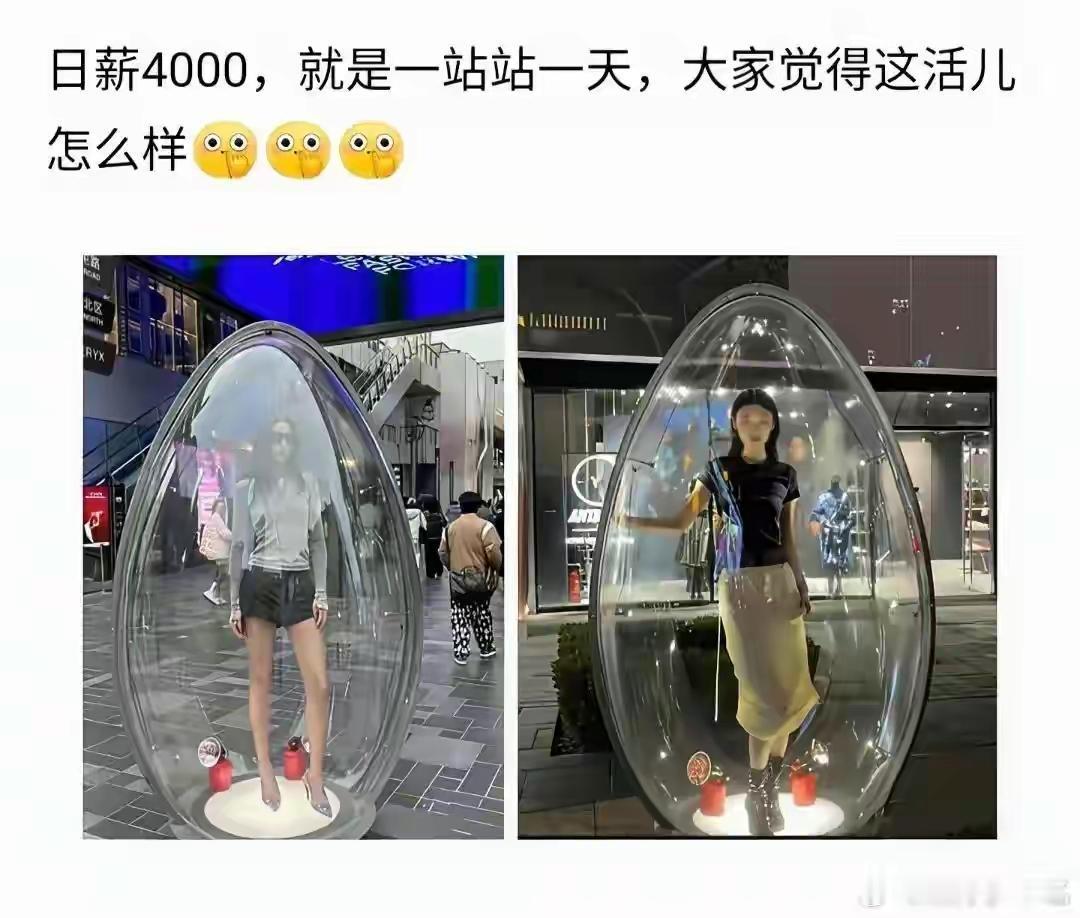 来来来，这样的活在哪找