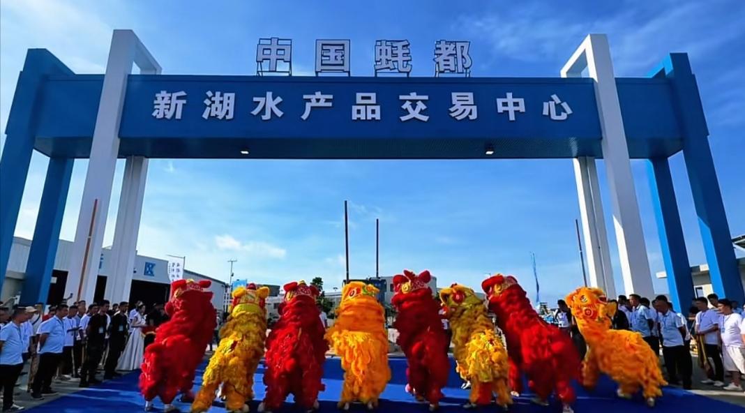 粤西最大活鲜市场今日开张！湛江人的“海鲜自由”，这回稳了？

2026年5月20