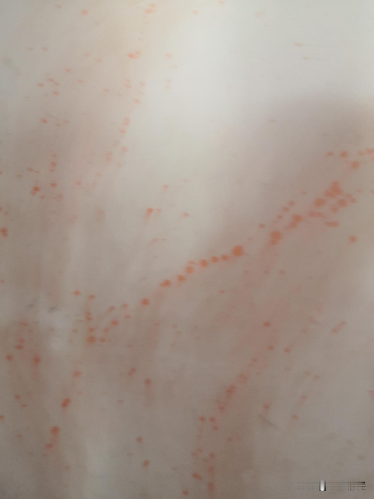 端午节的雄黄酒洒在墙上了
今天是端午节，祝全国人民端午快乐！。中江县农村里面端午