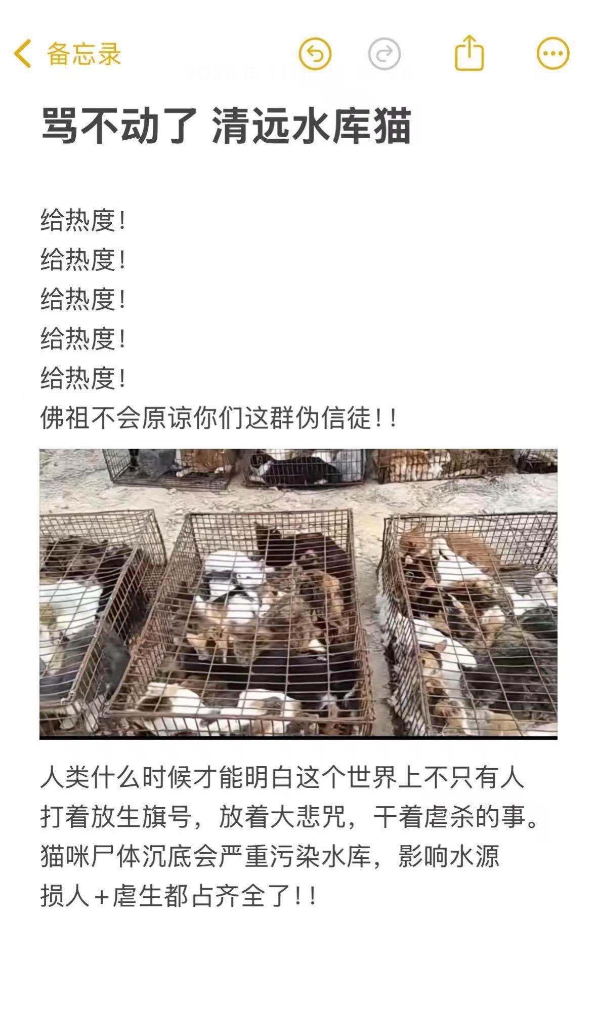 在水库放猫真的是刷新下限。