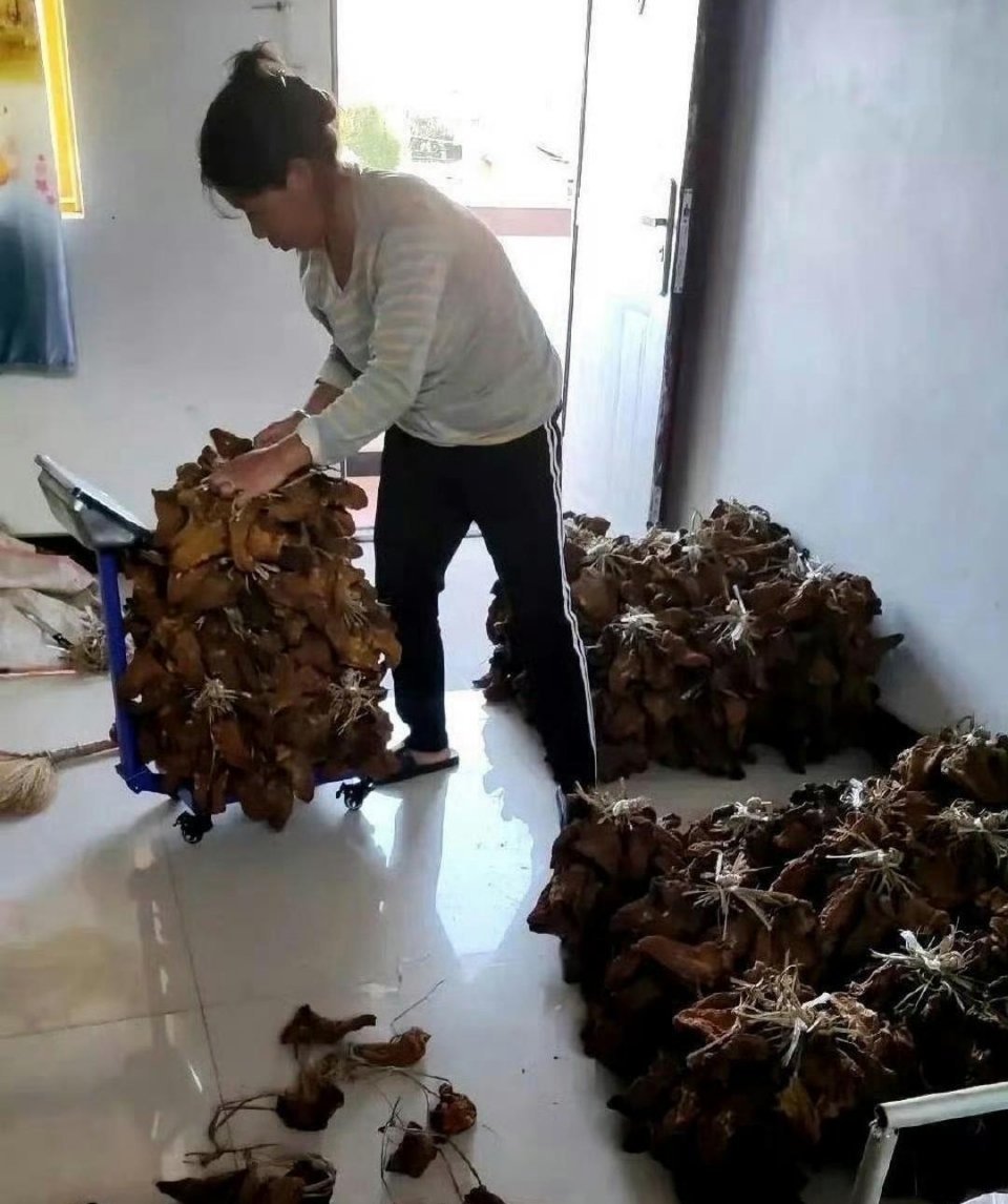这才是真正的大户人家 太羡慕了 