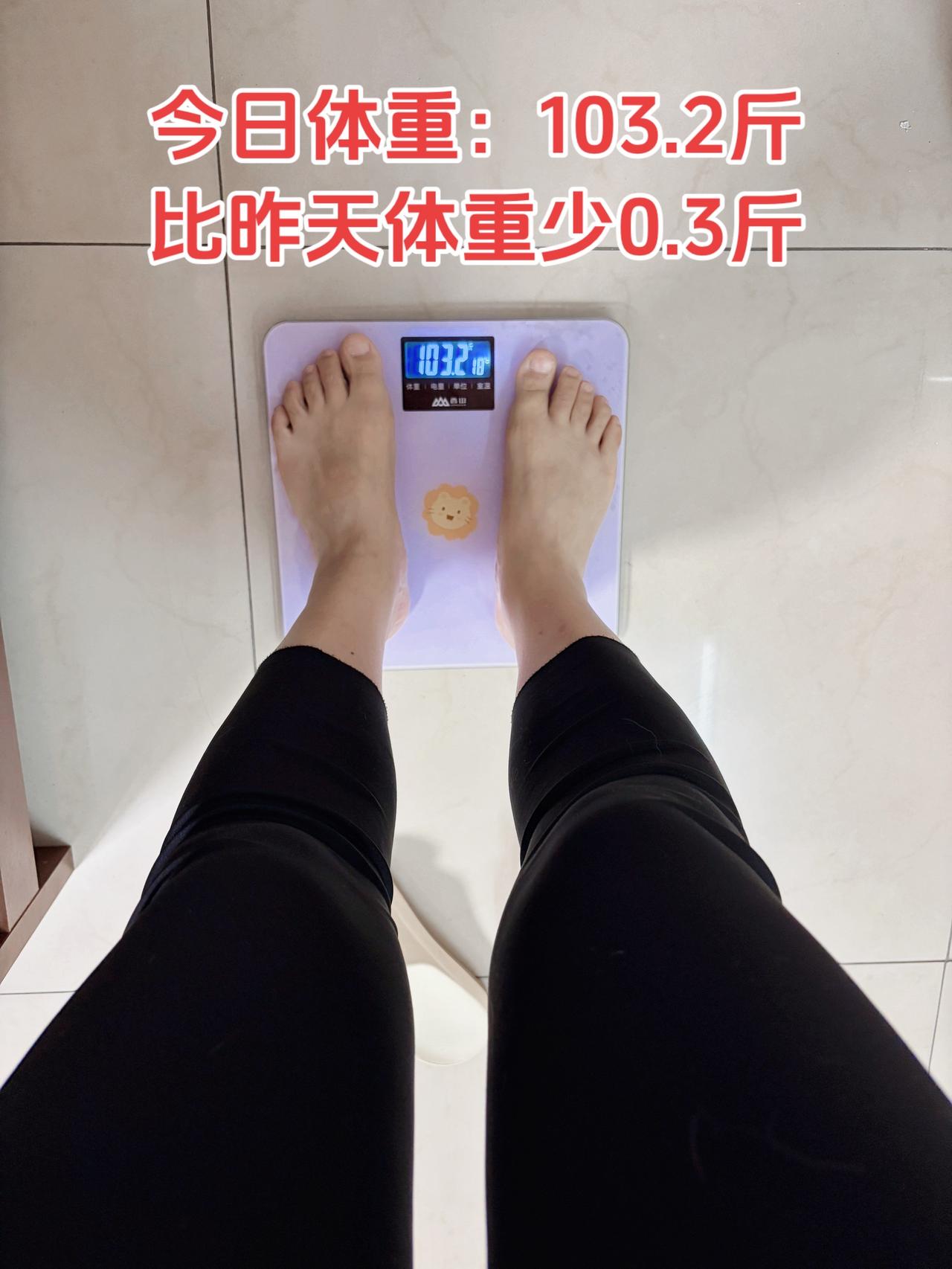 自律减脂健康餐，目标95斤，加油
今日减脂早餐：玉米+鸡蛋+番茄+豆浆