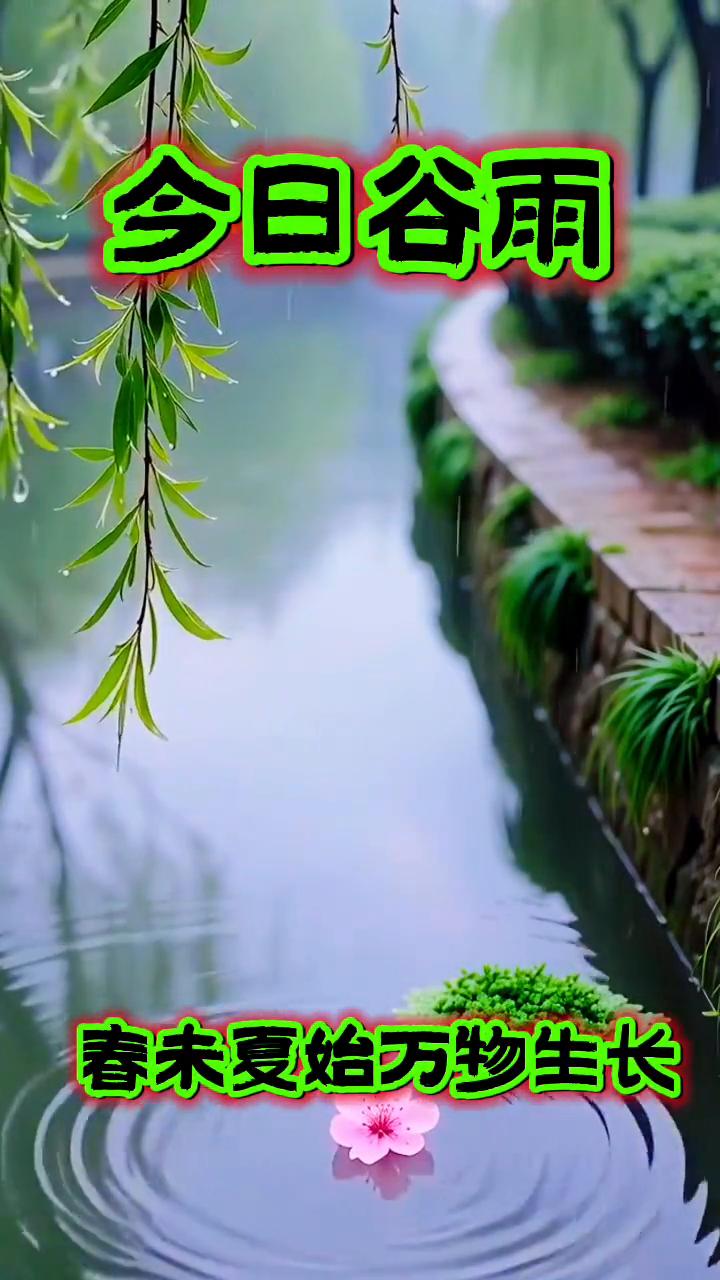 今日谷雨，春末真始，万物生长。
今日谷雨，春末真始，万物生长。