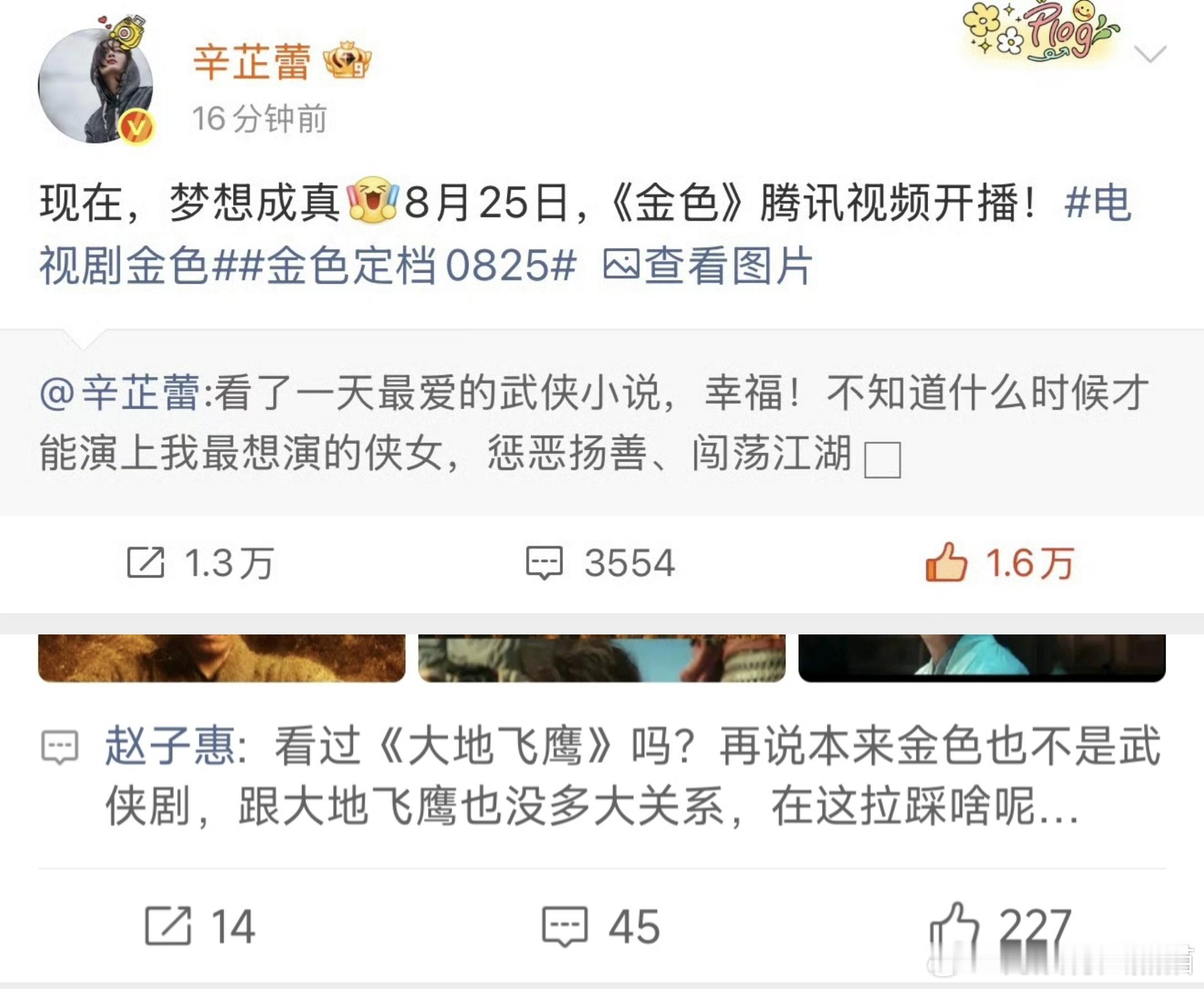 制片人说《金色》不是武侠剧，和大地飞鹰也没什么关系……可是辛芷蕾却说圆梦武侠剧…