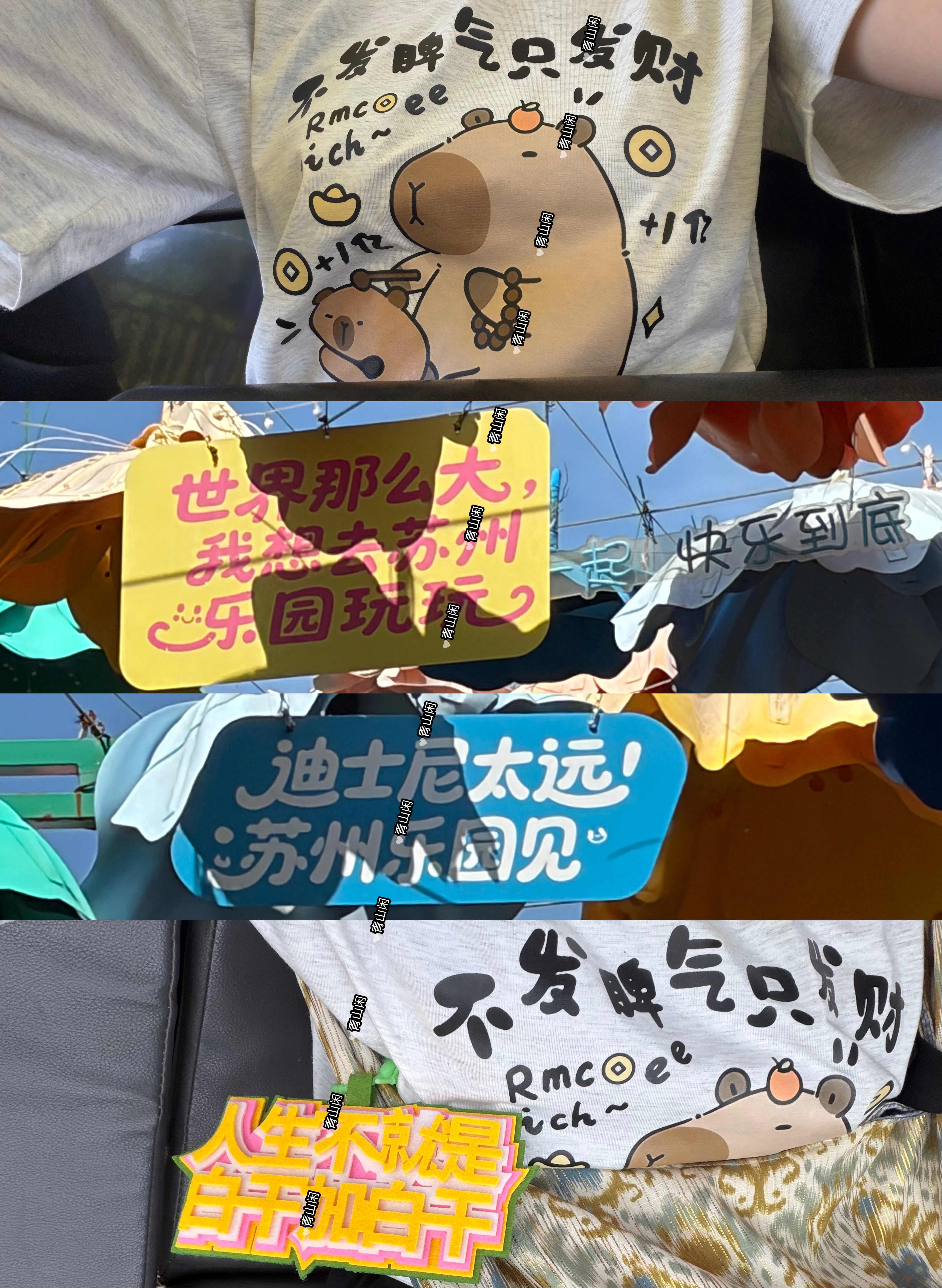 又是免费玩(有三免卡)我们苏州乐园的一天 从小不怕虫子 不怕大太阳无防护走上半天