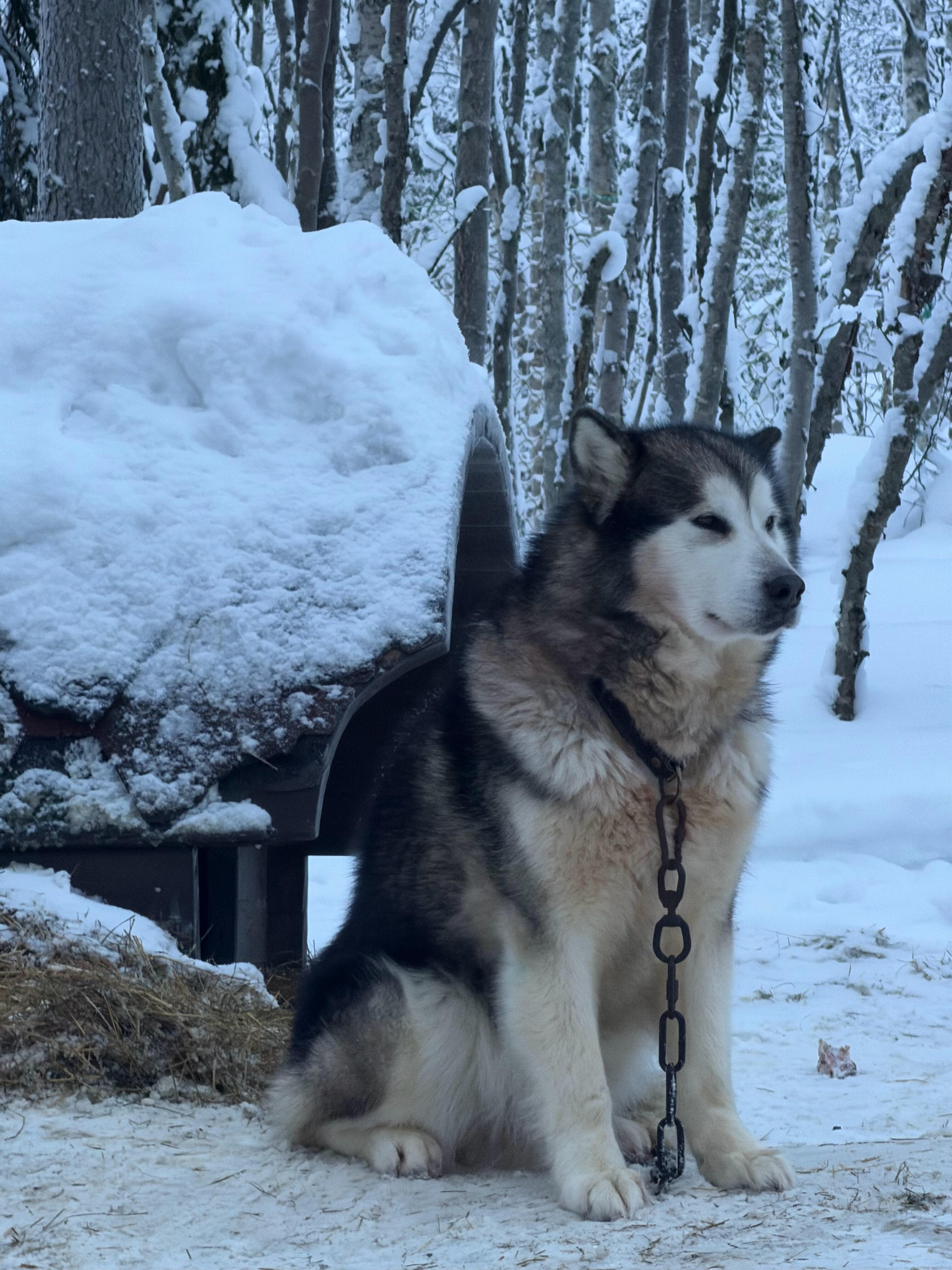 鹭卓不明显情头这不就来了吗？十个勤天  |  种地吧 