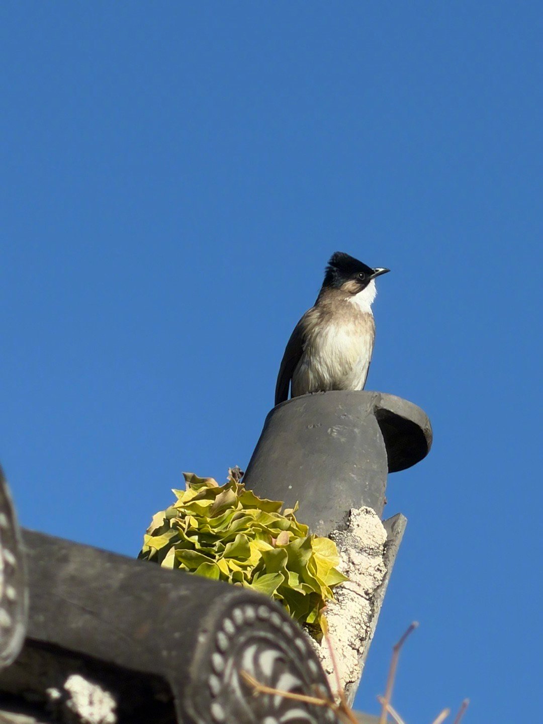 人内在的体验可以拆分为以下这几种：1、全新的发现；2、事物的发生发展，与自己的想