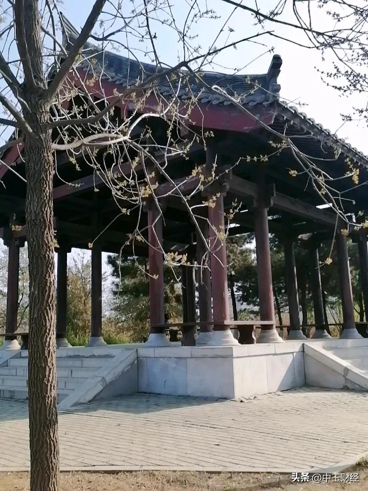 今年春天最想实现的心愿今年春天，看看全国的古亭是一件惬意的事，也是一种历史的回忆