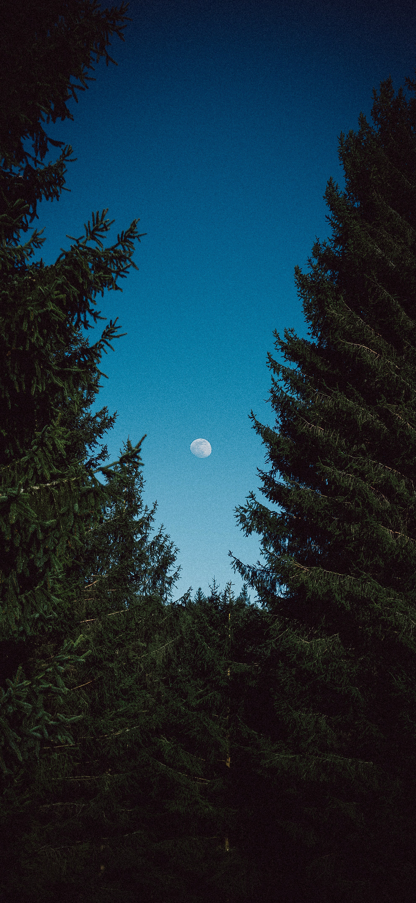 兄弟们早[你好]又是求赞的一天风景壁纸 ​​​