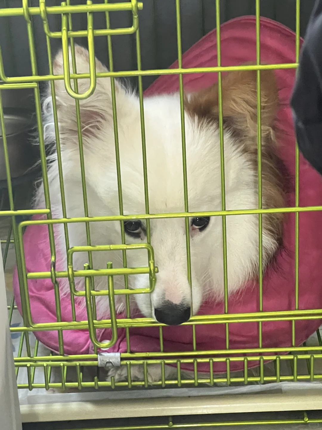 我就去看个电影
