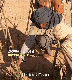 在境外，中国人成了“行走的黄金”，申澳的《用武之地》给我们一个大大的惊醒。
这不