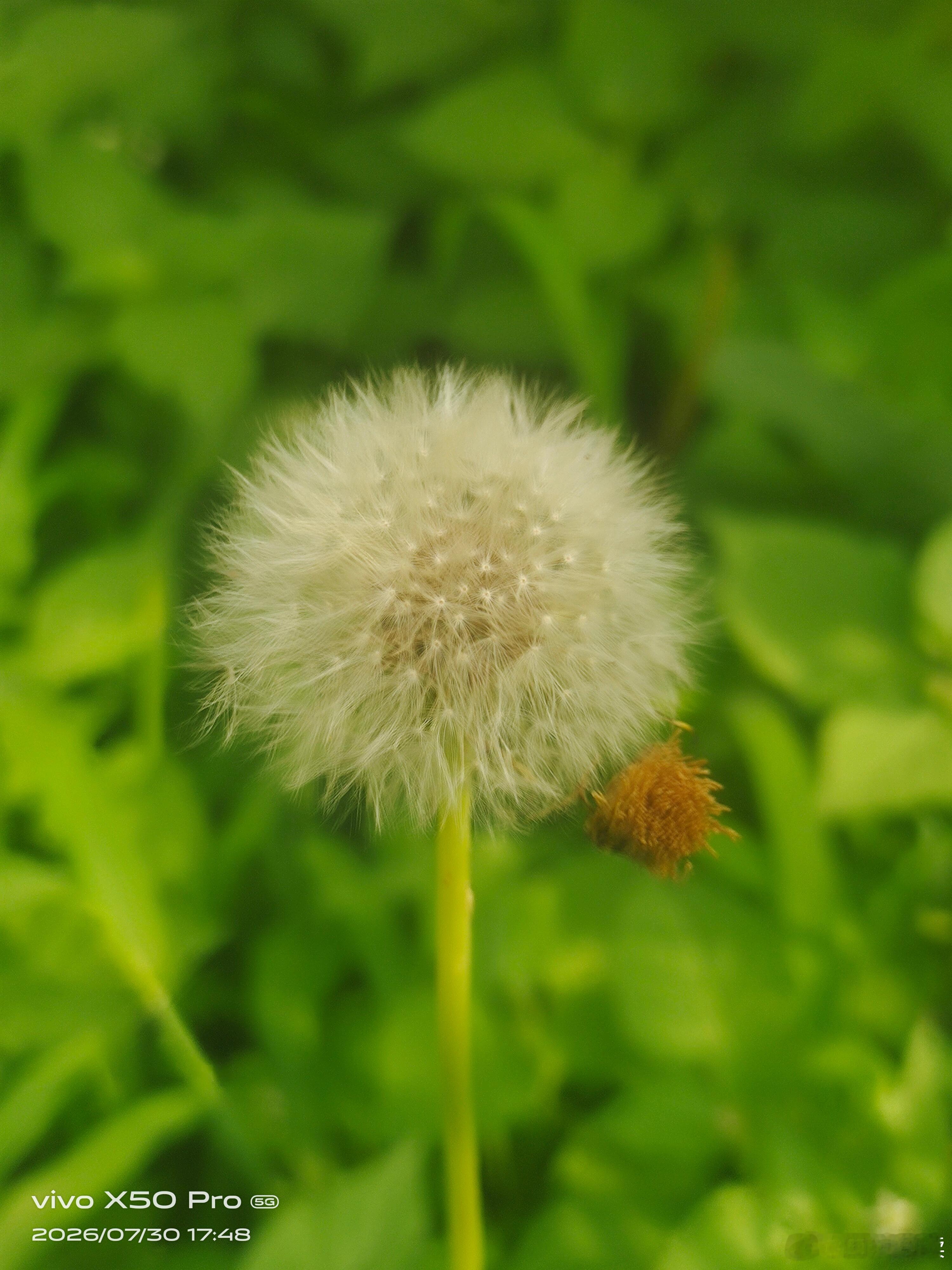 与其做一个好人，不如做一个真实的人，一个不回避自己任何一面的人。——荣格 