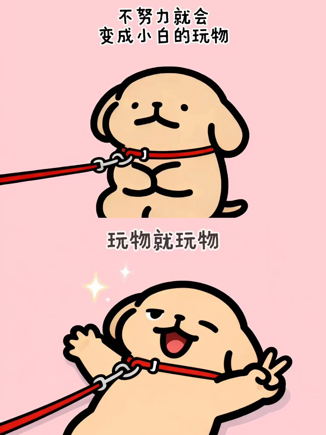 小鸡毛不努力的后果。