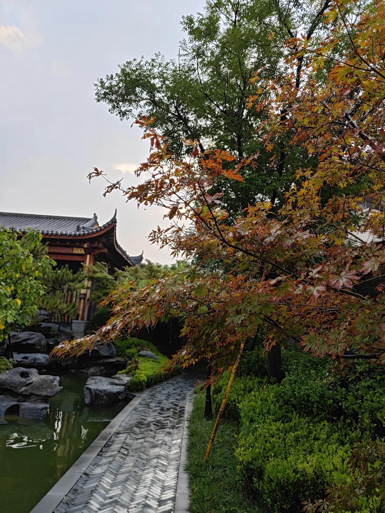 同学去日本旅游回来，人没了，四十九岁，硬生生自己作没了

我朋友老孙前几天参加了