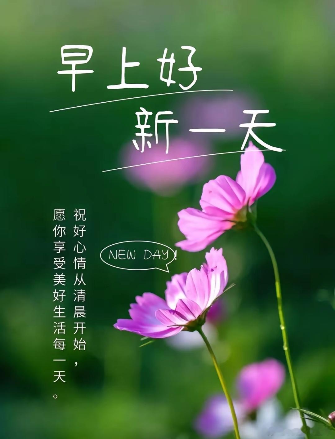 早呀[鲜花][鲜花]周末愉快[爱你][爱你] ​​​